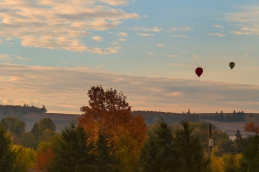 Farmland and two hot air balloons near Sussex