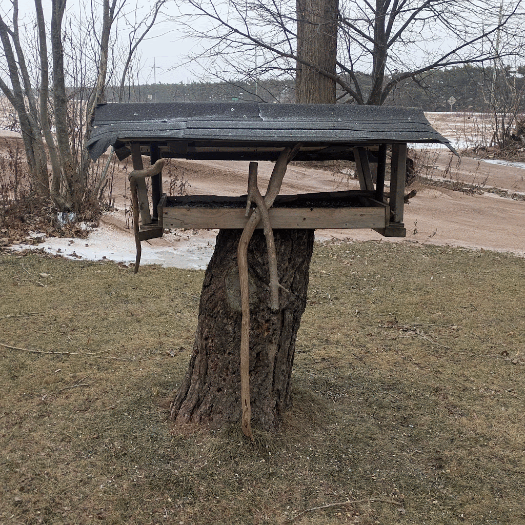 Animated view of bird houses around the yard