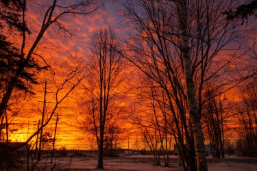 Winter sunrise over the road, pink and orange sky