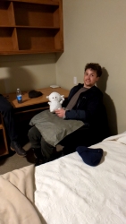 Hanging out in the dorm room